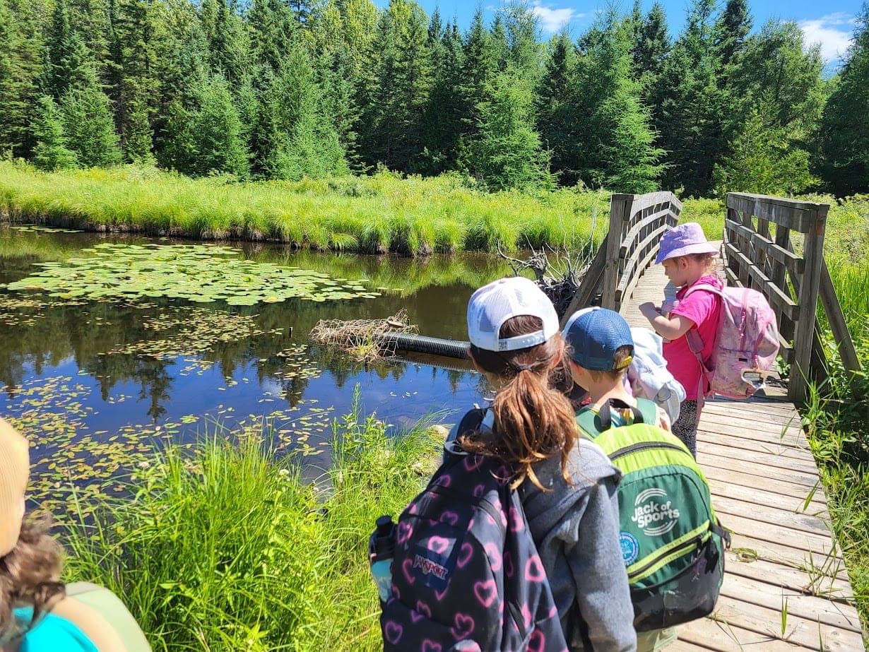 working at WILDE at WILDE Camp